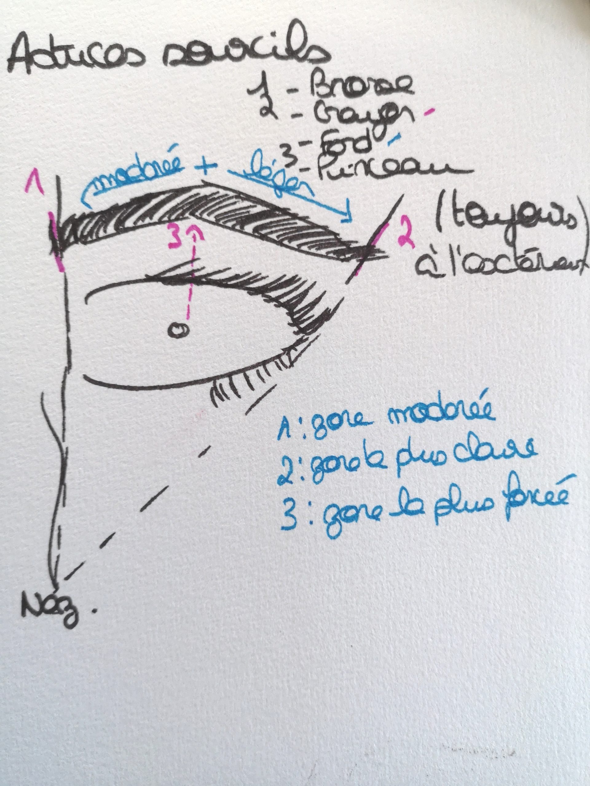 LES SOURCILS